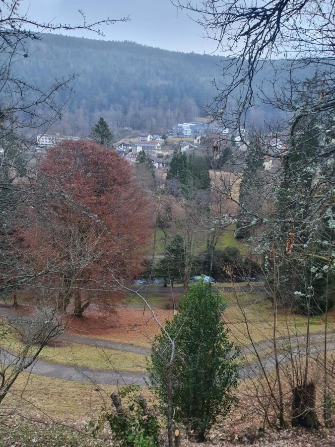 Ferienwohnung Nina Direkt In Zentrum Bad Wildbad Dış mekan fotoğraf