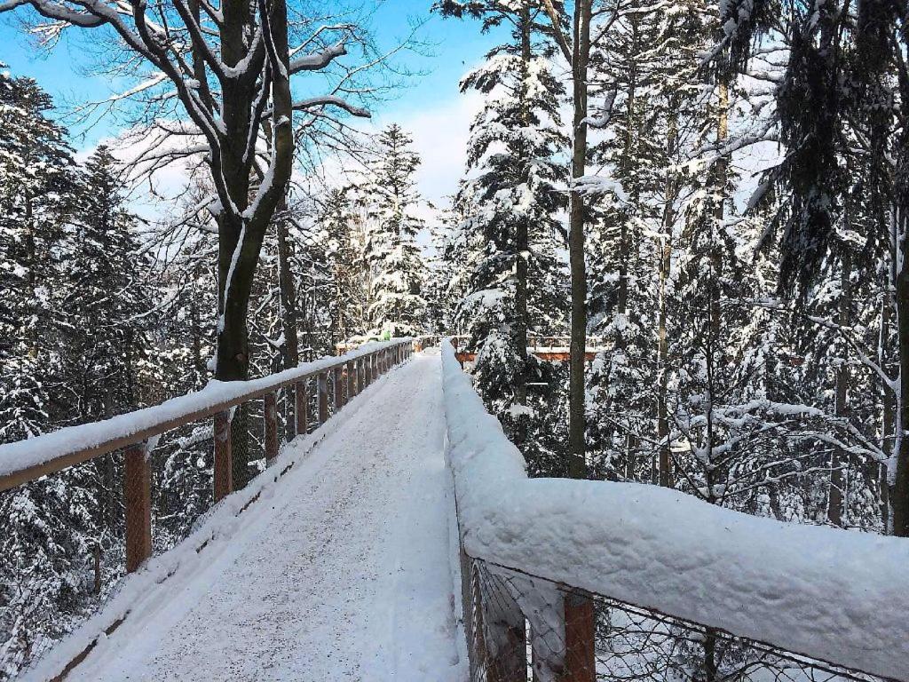 Ferienwohnung Nina Direkt In Zentrum Bad Wildbad Dış mekan fotoğraf